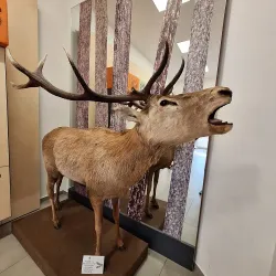 Andrej Kmeť Museum - Rožňava