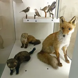 Andrej Kmeť Museum - Rožňava