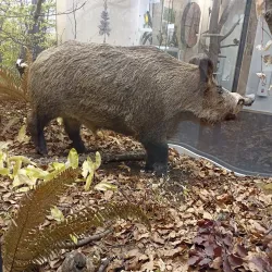 Andrej Kmeť Museum - Rožňava