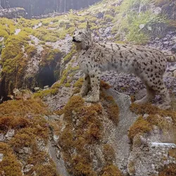 Andrej Kmeť Museum - Rožňava