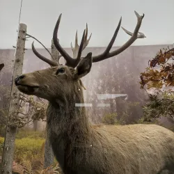 Andrej Kmeť Museum - Rožňava