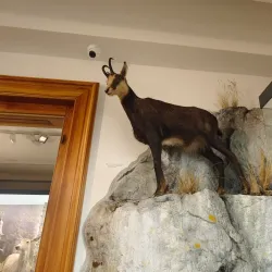 Andrej Kmeť Museum - Rožňava