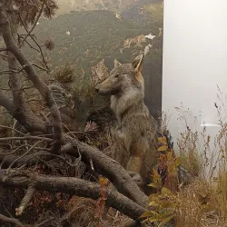 Andrej Kmeť Museum - Rožňava