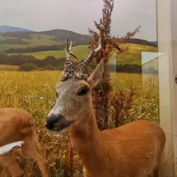 Andrej Kmeť Museum - Rožňava