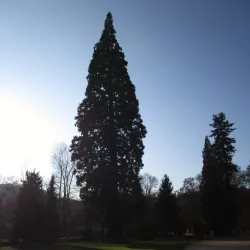 Jasov Monastery - Rožňava