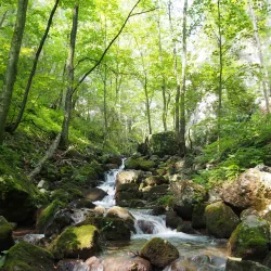 Slovak Karst National Park - Rožňava