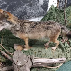 Liptov Museum - Ruzomberok