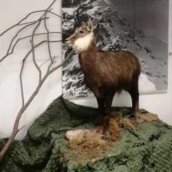 Liptov Museum - Ruzomberok