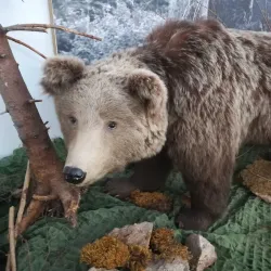 Liptov Museum - Ruzomberok