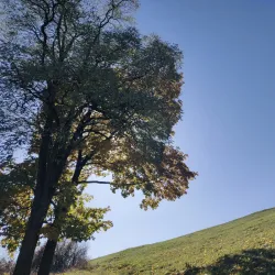 The House of Culture (Dom Kultúry) - Ruzomberok