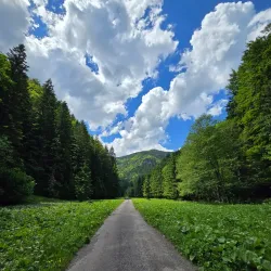 Čutkovská Valley - Ruzomberok
