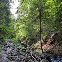 Čutkovská Valley - Ruzomberok