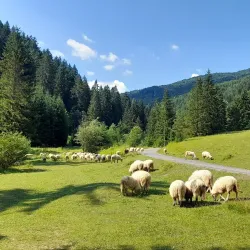 Čutkovská Valley - Ruzomberok