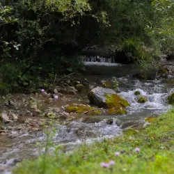 Čutkovská Valley - Ruzomberok