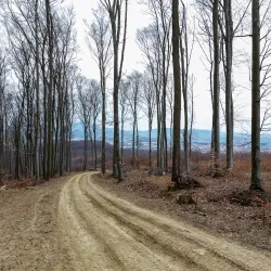Hiking Trails around Sabinov - Sabinov