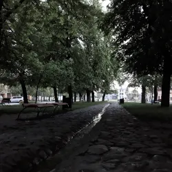 Park near Sabinov - Sabinov