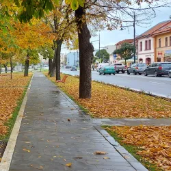 Park near Sabinov - Sabinov