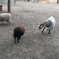 Central Park of Sala - Sala