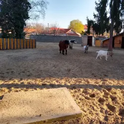 Central Park of Sala - Sala