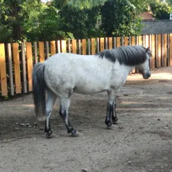 Central Park of Sala - Sala