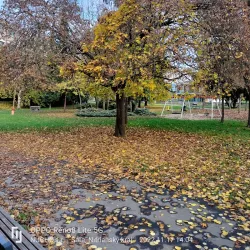 Central Park of Sala - Sala