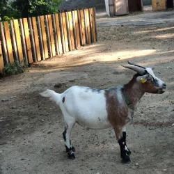 Central Park of Sala - Sala