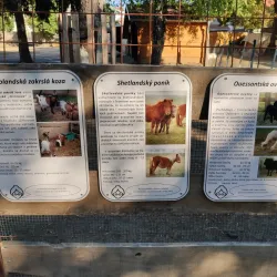 Central Park of Sala - Sala