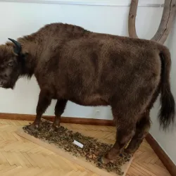 Museum of Spiš - Spisska Nova Ves