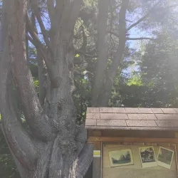 Winter Sports and Skiing Areas - Stara Lubovna