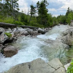 Tatra National Park (TANAP) - Stary Smokovec (High Tatras)