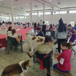 Agricultural Museum in Nitra - Tlmače