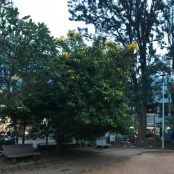 Local Park and Recreation Area - Tlmače