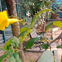 Local Park and Recreation Area - Tlmače