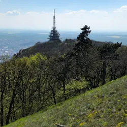 Zobor Hill - Tlmače