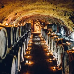 Local Vineyards and Wine Tasting - Trebišov