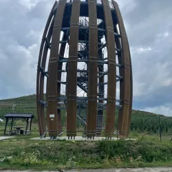 Local Vineyards and Wine Tasting - Trebišov