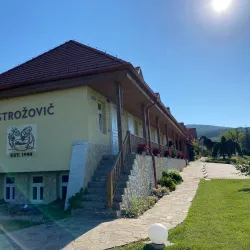 Local Vineyards and Wine Tasting - Trebišov