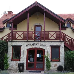 Local Vineyards and Wine Tasting - Trebišov