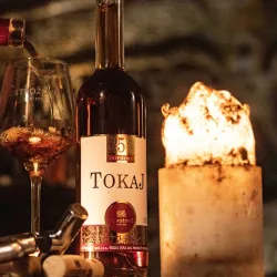 Local Vineyards and Wine Tasting - Trebišov