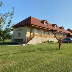 Local Vineyards and Wine Tasting - Trebišov