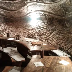 Local Vineyards and Wine Tasting - Trebišov