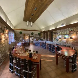 Local Vineyards and Wine Tasting - Trebišov