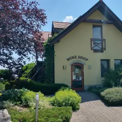 Local Vineyards and Wine Tasting - Trebišov