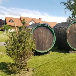 Local Vineyards and Wine Tasting - Trebišov