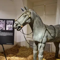 Trebišov Museum - Trebišov