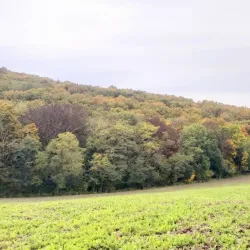 Hiking Trails around Velky Krtis - Velky Krtis