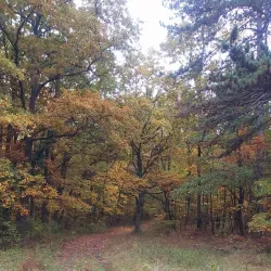 Hiking Trails around Velky Krtis - Velky Krtis