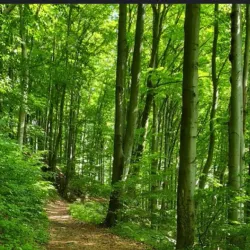 Hiking Trails around Velky Krtis - Velky Krtis