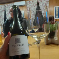 Local Vineyards and Wine Tasting - Velky Meder