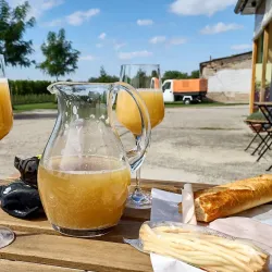 Local Vineyards and Wine Tasting - Velky Meder